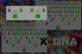 X Dnas Helpful Inheritance Patterns Genie1
