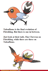 Pokememes Talonflame Pokemon Memes Pokemon Pokemon Go Cheezburger