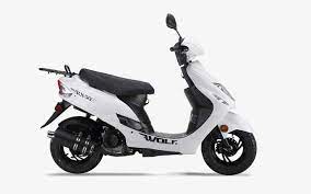 Whatever your family's wheels needs may be, you can shop bikes, scooters, skates, and more, all with low prices every day on walmart.ca. Buying A 50cc Or 150cc Motor Scooter Wait Read This 5 Step Simple Guide Wolf Brand Scooters