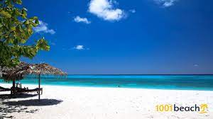 With a land area of 988 square kilometres (381 sq mi). Strand Pemba Island