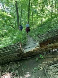 › mississippi palisades state park. Mississippi Palisades State Park Illinois Beliebte Routen Alltrails