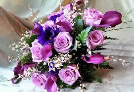 We did not find results for: Bouquet Of Purple Flowers Hd Wallpaper Wallpaper Flare