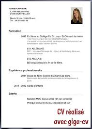 Curriculum Vitae 3eme Modelo De Curriculum Vitae Nel 2020