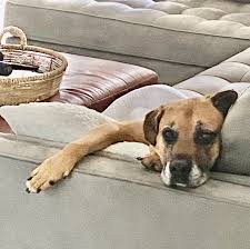 Carl J Conner (@CONNERarchitect)