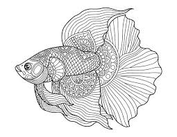Betta fish are beautiful and elegant tropical fish typically kept as pets. Free Adult Coloring Fish Vectors 50 Images In Ai Eps Format