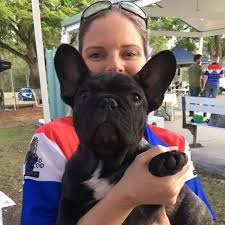 We are situated on the beautiful sunshine coast, se qld, approximately 1 hour north of brisbane. French Bulldog Club Of Qld Home Facebook