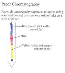 Chem Is Fun Lab Separation Of A Mixture By Paper Chromatography Paper Chromatography Chemistry Lessons Matter Science