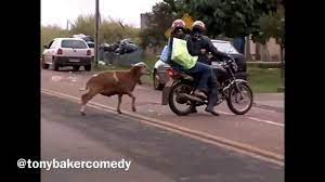 You can also filter out items that. Cram Ram Tony Baker Comedian Youtube