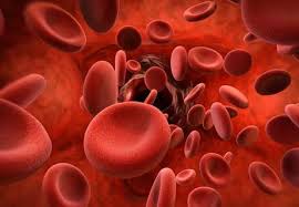 Image result for Anticoagulation