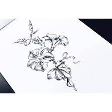 Morning Glory Tattoo Black And White Google Search Morning Glory Tattoo Flower Tattoo Sleeve Flower Tattoos