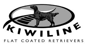 Echobrook dexster (uk) whelped 09/04/2021. Contact Kiwiline Flat Coated Retrievers