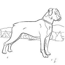 Free printable coloring page dog 78 for your images with coloring page dog free printable coloring pages of boxer dogs dogs and puppies a cute puppy holding balloons coloring page. Free Printable Coloring Pages Of Boxer Dogs