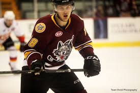 Baranka has 107 national games behind him and he has played in khl and ahl. Sebastian Wannstrom 38 Rogle Bk Collegehockeyplayers