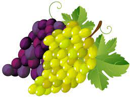 Painted Grapes Png Clipart Frutas Pinturas Creatividad