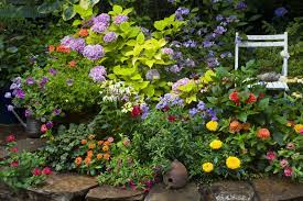 Toothache plant ( spilanthes oleracea) see how your herb garden will look, season to season: 20 Free Garden Design Ideas And Plans Best Garden Layouts