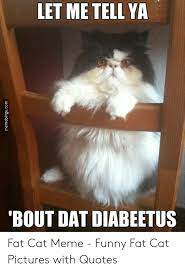 Cat memes are always in style. 32 Funny Fat Cats Memes Factory Memes