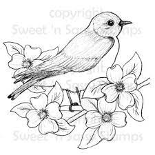 Pin On Digi Stamps