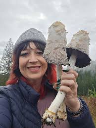 Finally a trip over the pass. Anyone recognize the big ones?