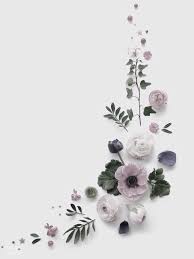 Pin By Amilia Fitriyani On D I S P L A Y 4 Seni Bunga Fotografi Bunga Bunga