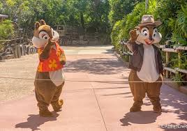 Either one or two players cooperate or compete simultaneously for bonus items as the heros look to survive while rescuing their main girl, gadget. Photos Chip And Dale Were Wearing New Costumes In Disney World Today Allears Net