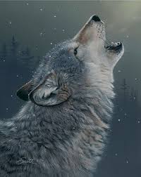 Ascending Song Wolf Howling Wolf Artwork Wolf