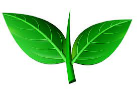 The war between aiadmk factions reached the election commission again with the panneerselvam group bringing in two vehicles full of affidavits in support. Election Commission To Hear Aiadmk S Two Leaves Symbol Case Today Indiablooms First Portal On Digital News Management