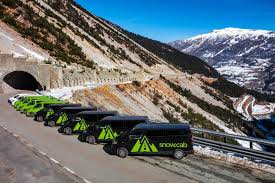 I Quattro Grappoli In Neive - 2024 Deals