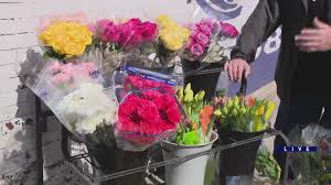 Check spelling or type a new query. Bonnie Flower Shop Open Just In Time For Mother S Day Wgn Tv