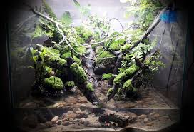 Set Up Stream Forest With Moss And Stone Natural Click Watch Video Reptile Habitat Aquatic Turtle Habitat Aquascape