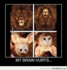 Optical Illusion Cool Illusions Illusions Cool Optical Illusions