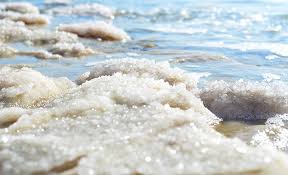Salty Christians | Bits Of Bread