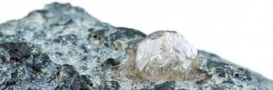 Image result for Haumaniastrum katangense