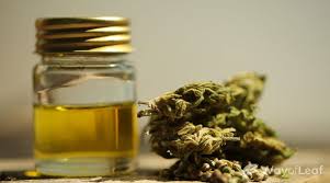 Coconut oil or mct oil. How To Make Thc Oil For E Cigs The Definitive Guide