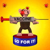 Here is how to make a counterfeit vaccination record for you and your family. Mrna Vaccine Gifs Get The Best Gif On Giphy
