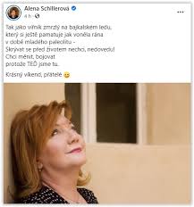 Jun 01, 2021 · 11.01.2021 schillerová: U Nas V Babisove Fotos Facebook