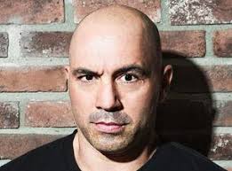 Image result for Joe Rogan