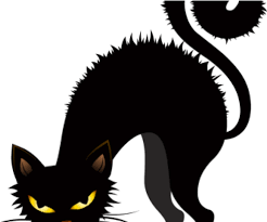 What to do with a black cat for halloween? Download Black Cat Halloween Clipart Full Size Png Image Pngkit