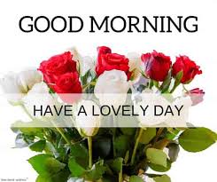 Beautiful good morning flowers images hd. 150 Beautiful Good Morning Images Best Collection