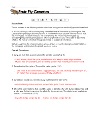Answer Key 2 For A Quiz Fruit Fly Genetics Information About Test And Lecture Notes Date Studocu