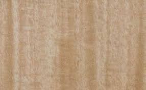 Image result for Gmelina