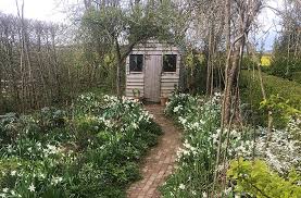 All you need to do for monty's top tips on how to feed garden birds this autumn and winter is scroll down. Monty Don Behind The Scenes Of Gardeners World Joegardener