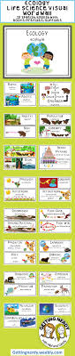 Ecology Word Wall Life Science Word Wall Science Word Wall Science Words