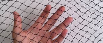 Bird netting places your garden off limits so birds simply move on. How To Install Bird Netting Bc Site Service