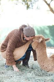 What does camel expression mean? Fibershed Alpaca My Bags Animals Alpaca Farm