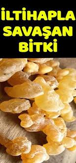 Yapilan Calismalarda Akgunluk Bitkisinin Anti Enflamatuar Yani Iltihap Onleyici Etkisi Oldugu Artrit Gibi Il Natural Treatments Snack Recipes Natural Medicine