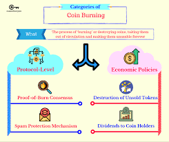 Guide To Coin Burning What Is Coin Burn And How Does It Work Coins Cryptocurrency Blockchain Technology