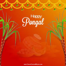 Wish you & your family a very happy bogi pongal, surya pongal, mattu pongal! Personalized Pongal Greetings Cards Create Custom Wishes