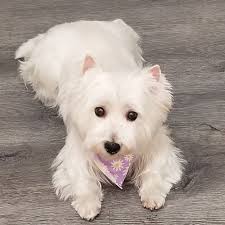 Mud Bay Kenmore, WA 98028