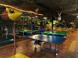 Zippa Zebra S Funjungle In Hoogeveen Beautiful Places To Visit Beautiful Places Indoor Playground