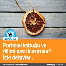 Portakal Dilimi Nasil Kurutulur Faydali Bilgin Yemek Portakal Gida